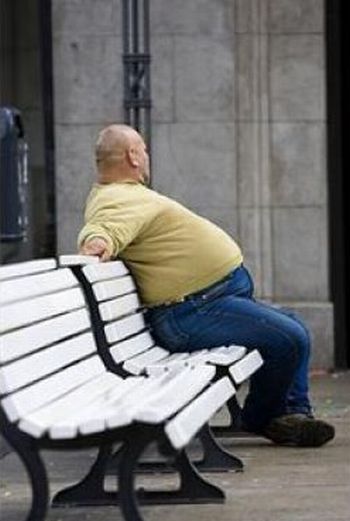 Best Beer Bellies (25 pics)