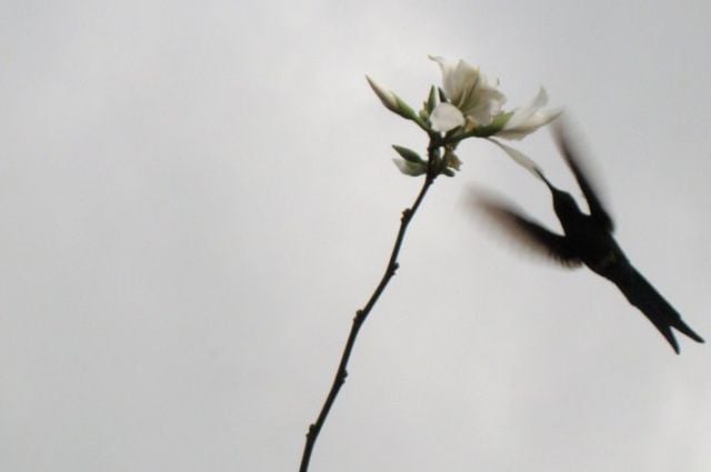 Daily picdump (146 pics)