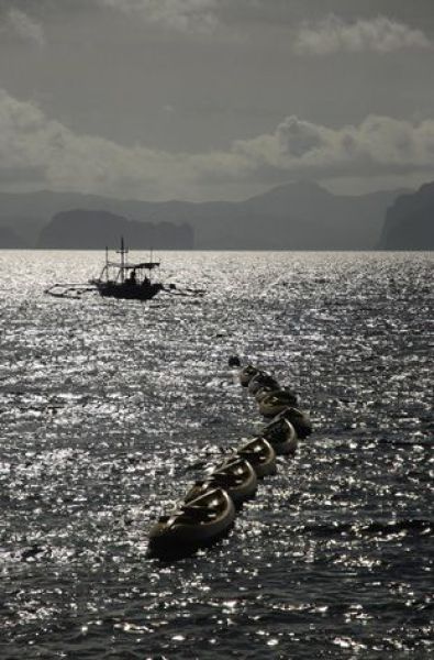 Daily picdump (146 pics)