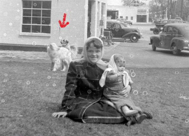 Daily picdump (146 pics)