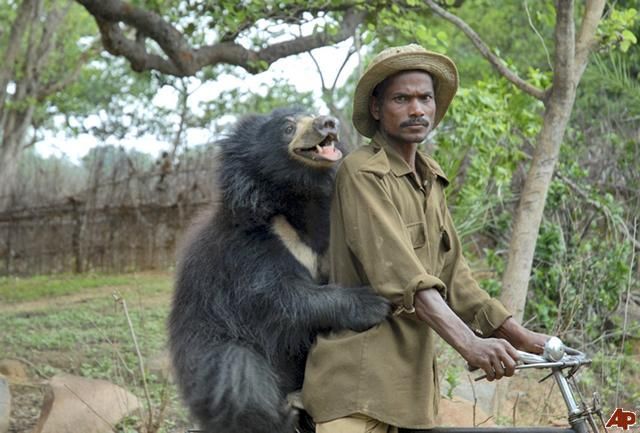 Daily picdump (146 pics)