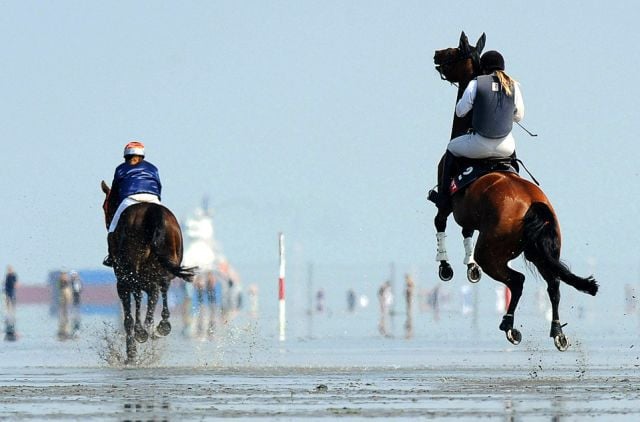 Daily picdump (146 pics)