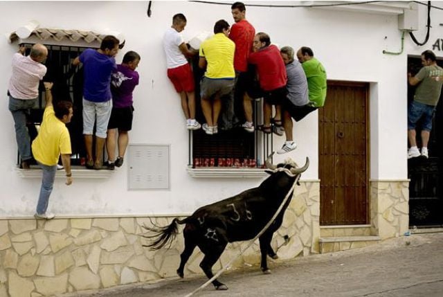 Daily picdump (146 pics)