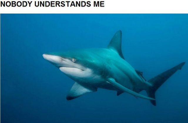 Daily picdump (158 pics)