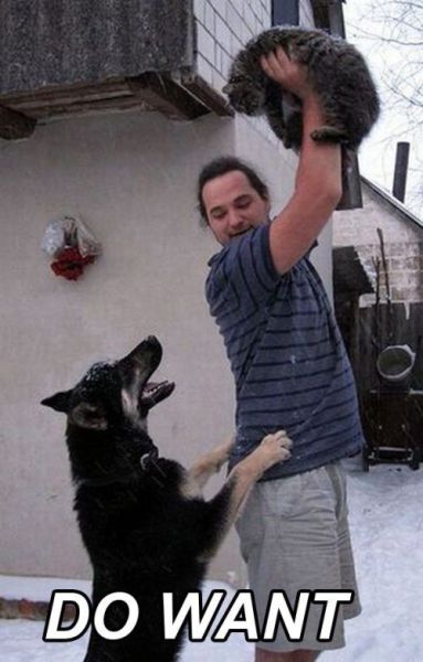 Daily picdump (158 pics)