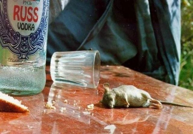 Daily picdump (158 pics)