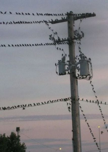 Daily picdump (158 pics)