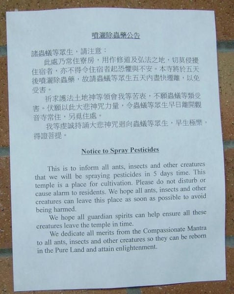 Daily picdump (158 pics)