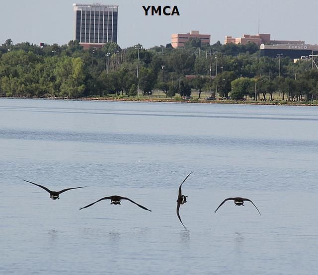 Daily picdump (158 pics)