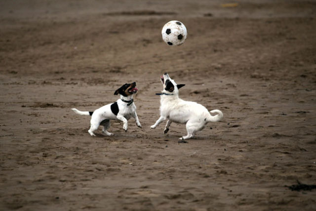 Daily picdump (158 pics)