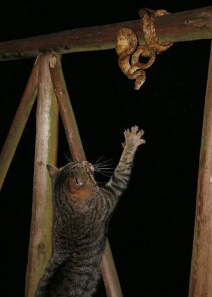 Daily picdump (158 pics)