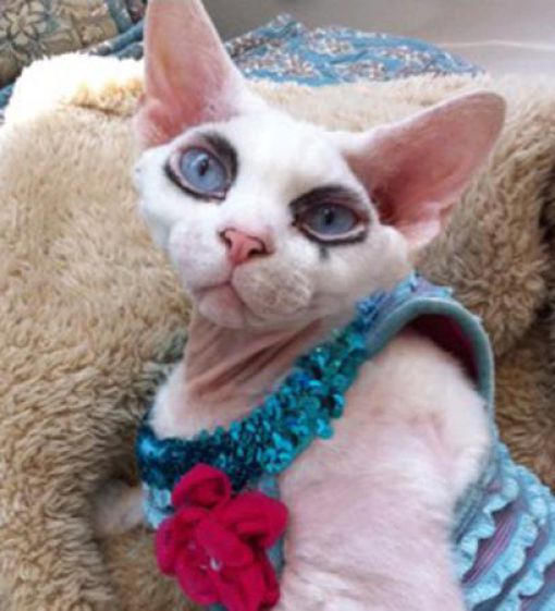 Daily picdump (158 pics)