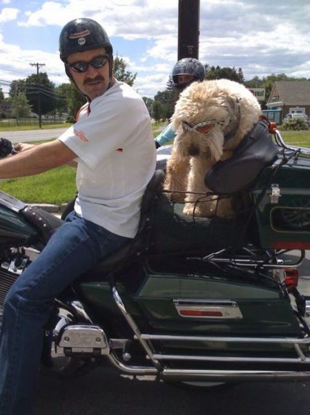 Daily picdump (158 pics)