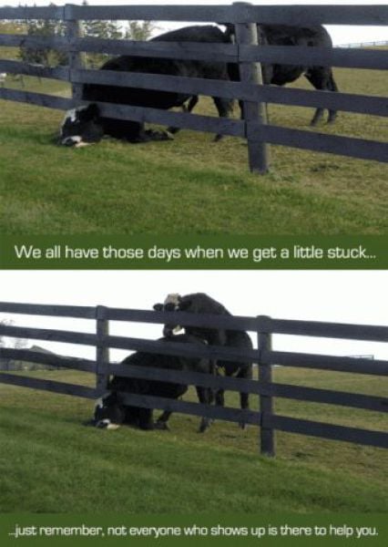 Daily picdump (111 pics)