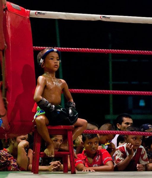 Daily picdump (111 pics)