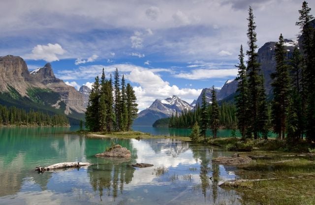 Daily picdump (111 pics)