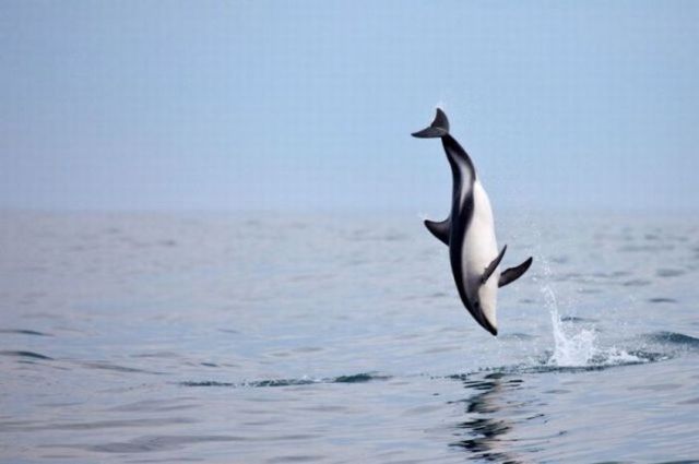 Daily picdump (111 pics)