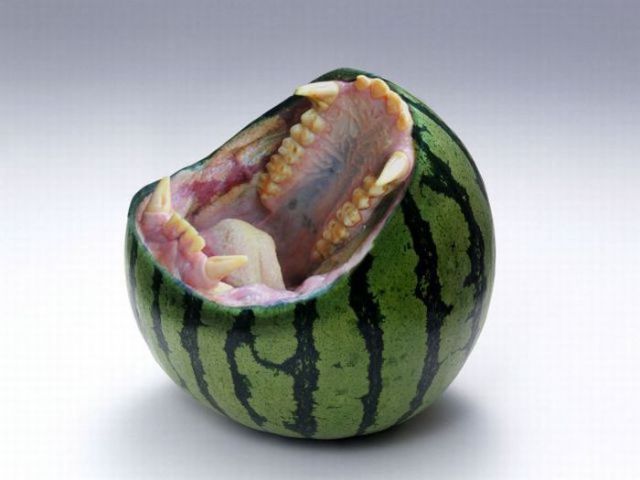 Daily picdump (111 pics)