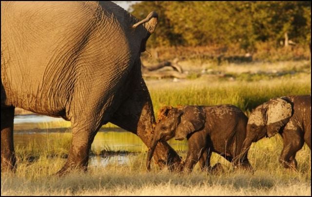 Daily picdump (111 pics)