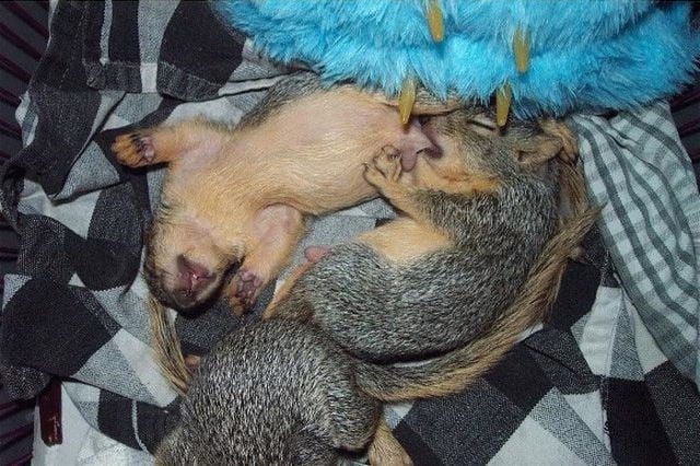 Daily picdump (111 pics)