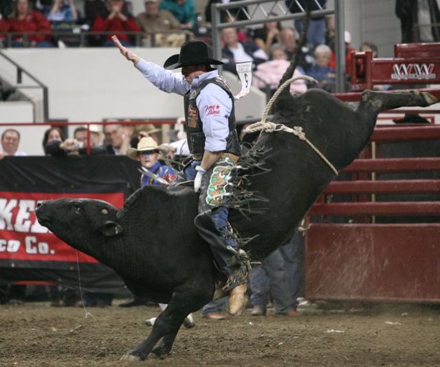 Daily picdump (111 pics)