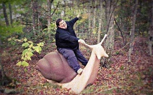 Daily picdump (111 pics)