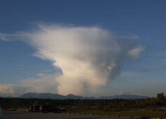 Daily picdump (111 pics)