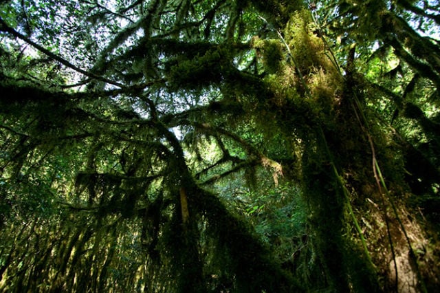 A Paradise That Became a Ghost Town (31 pics)