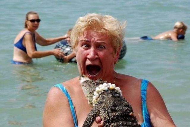 Daily picdump (115 pics)