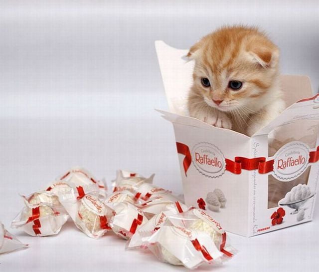 Daily picdump (115 pics)