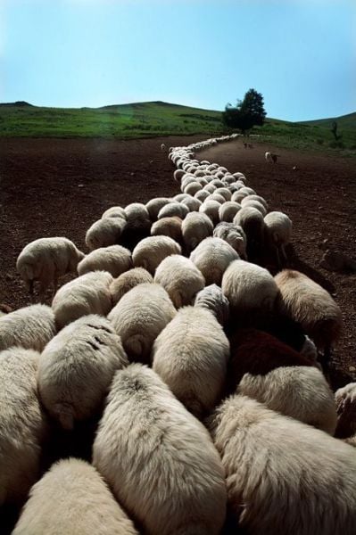 Daily picdump (115 pics)