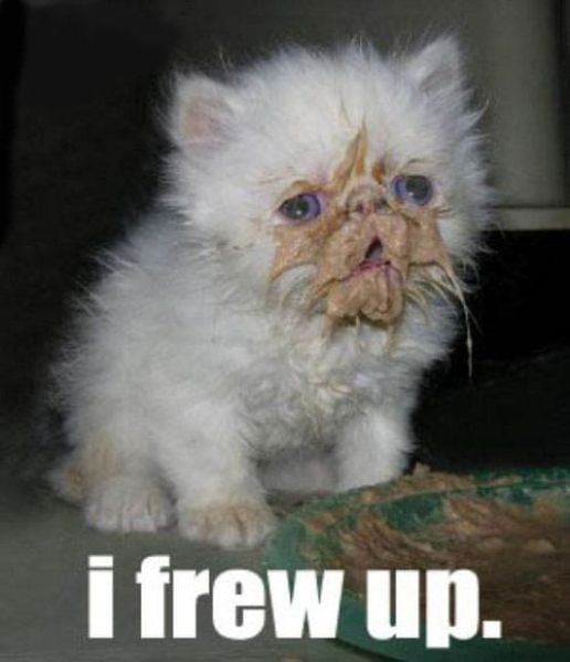 Daily picdump (115 pics)