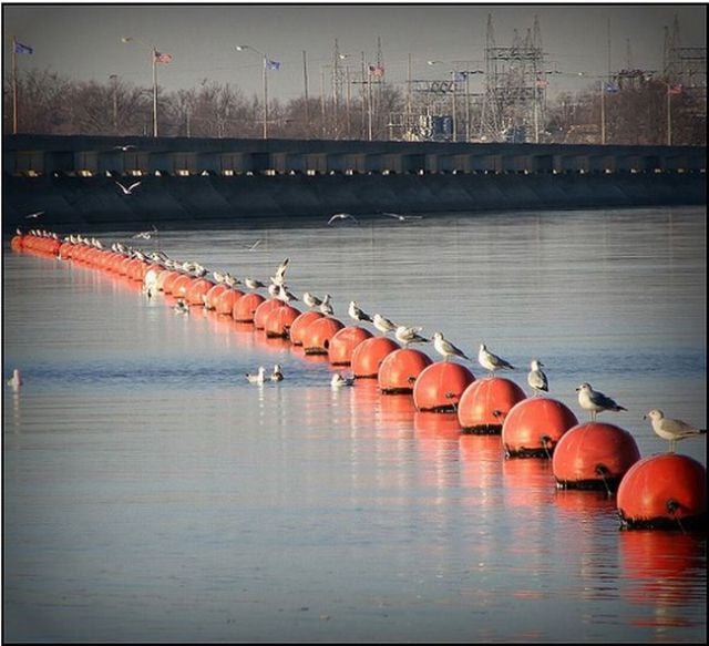 Daily picdump (133 pics)