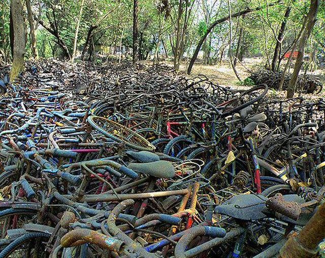 Daily picdump (133 pics)