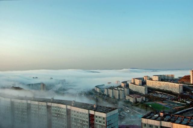 Daily picdump (133 pics)