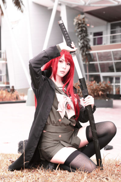 Cosplay Girls (23 pics)