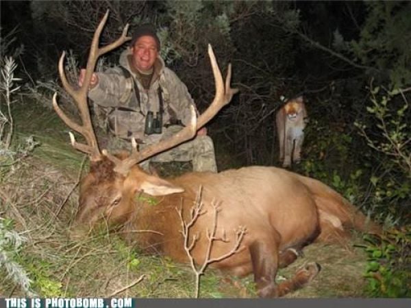 how to spoil a photo part 9 67 pics 60.html - 67 HD Photos | Premium Gallery 2010