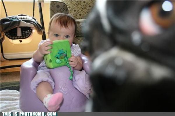 how to spoil a photo part 9 67 pics 60.html - 67 HD Photos | Premium Gallery 2010