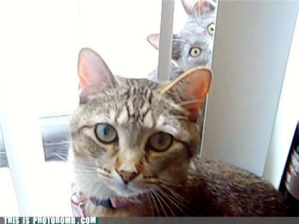 how to spoil a photo part 9 67 pics 60.html - 67 HD Photos | Premium Gallery 2010