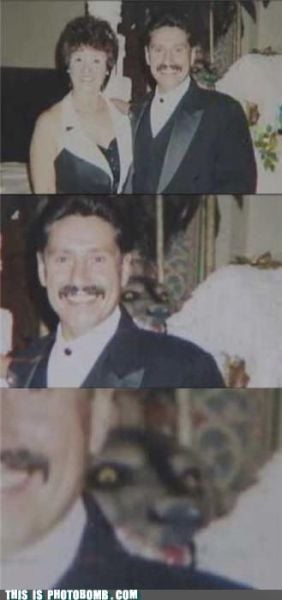 how to spoil a photo part 9 67 pics 60.html - 67 HD Photos | Premium Gallery 2010