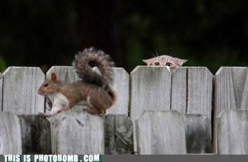 how to spoil a photo part 9 67 pics 60.html - 67 HD Photos | Premium Gallery 2010