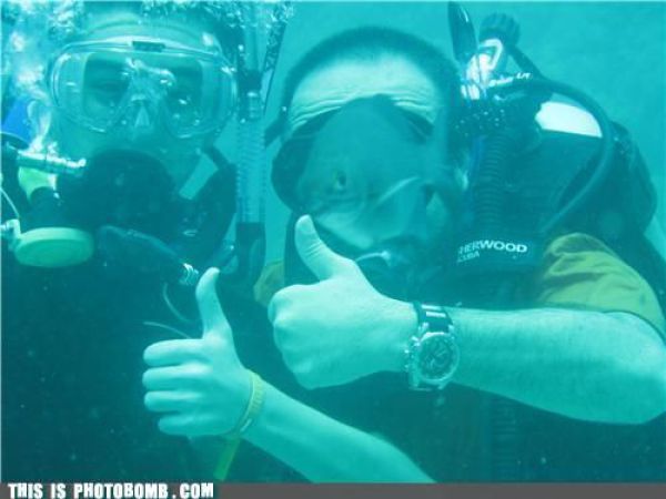 how to spoil a photo part 9 67 pics 60.html - 67 HD Photos | Premium Gallery 2010