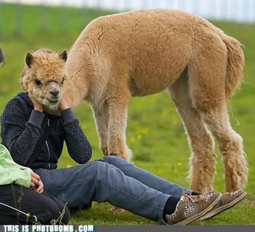 how to spoil a photo part 9 67 pics 60.html - 67 HD Photos | Premium Gallery 2010