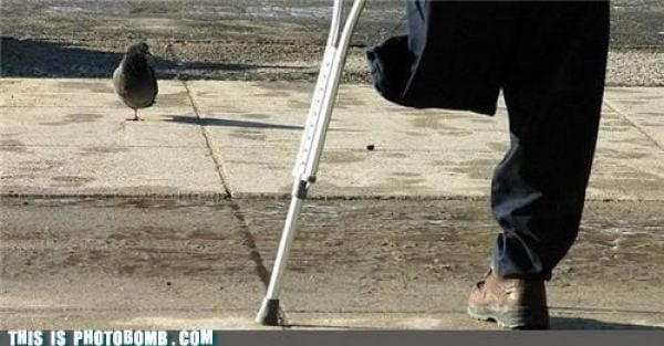 how to spoil a photo part 9 67 pics 60.html - 67 HD Photos | Premium Gallery 2010