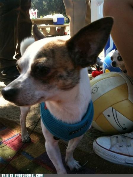 how to spoil a photo part 9 67 pics 60.html - 67 HD Photos | Premium Gallery 2010