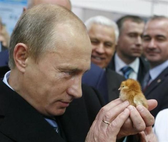 Daily picdump