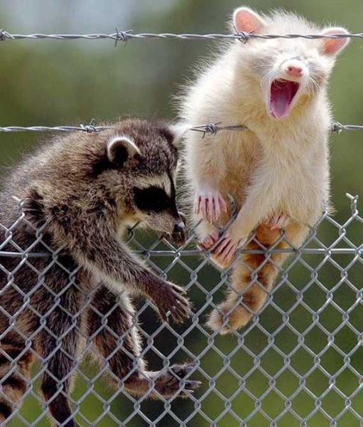 Daily picdump