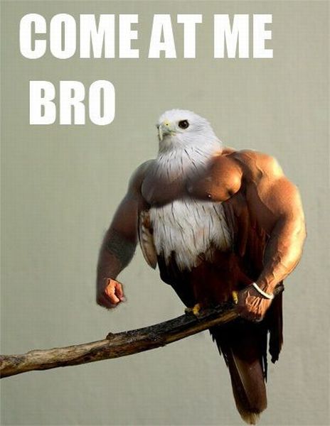 Daily picdump