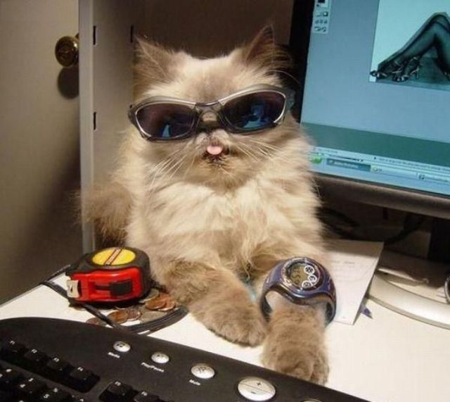 Daily picdump