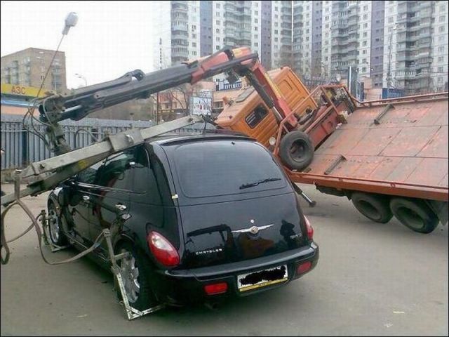 Daily picdump